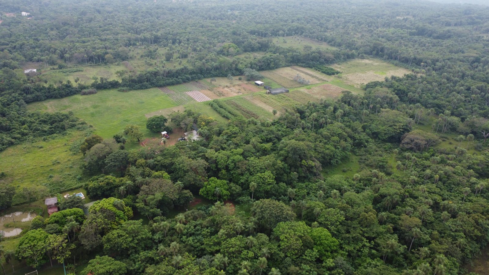 Granja de YUKO en Atyrá